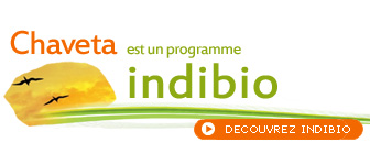 visu_webindibio